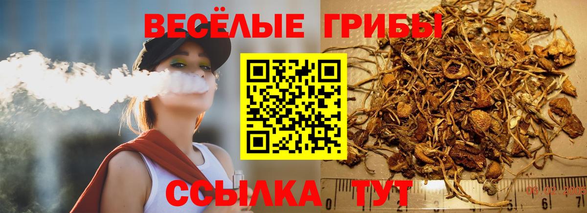 Каспийск  Галлюциногенные грибы ЛСД  Галлюциногенные грибы ЛСД  Вход с VPN 